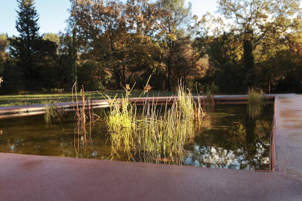 Bed and Breakfast La Maison R Pignans Екстер'єр фото